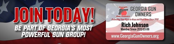 Stacey Abrams: Civilians Cannot Possess “Assault Weapons”