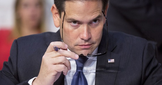 Little Marco Introduces Red Flag Gun Confiscation Bill