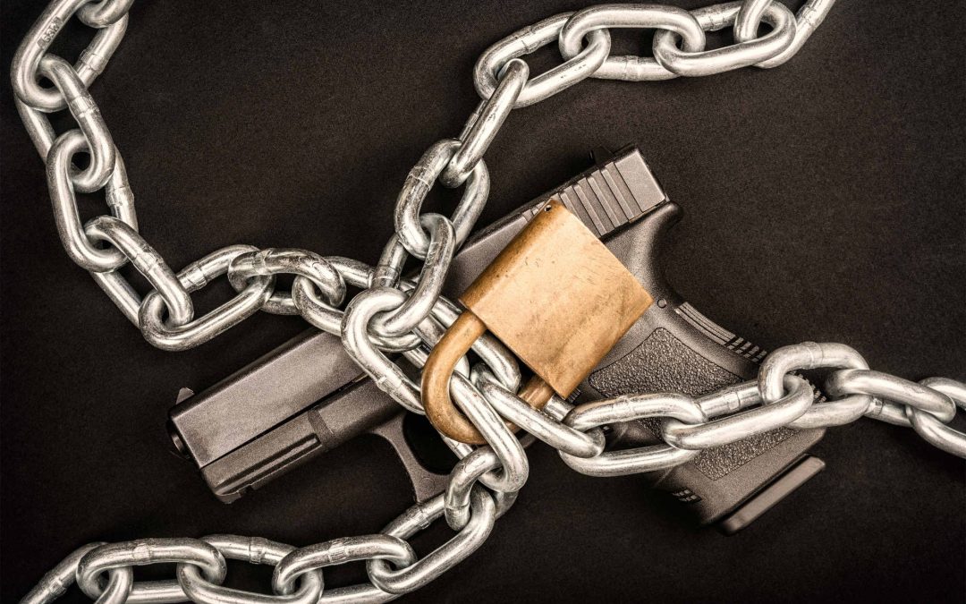 Gun Control is Moving in the Senate – Take Action Now!