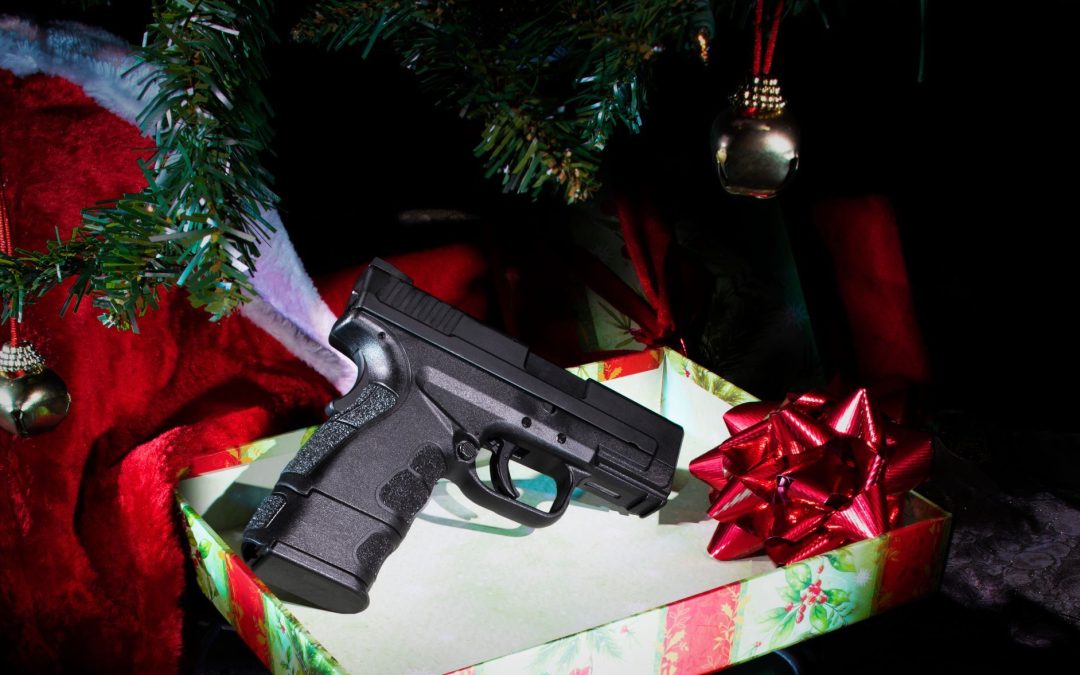 Merry Christmas from Georgia Gun Owners!