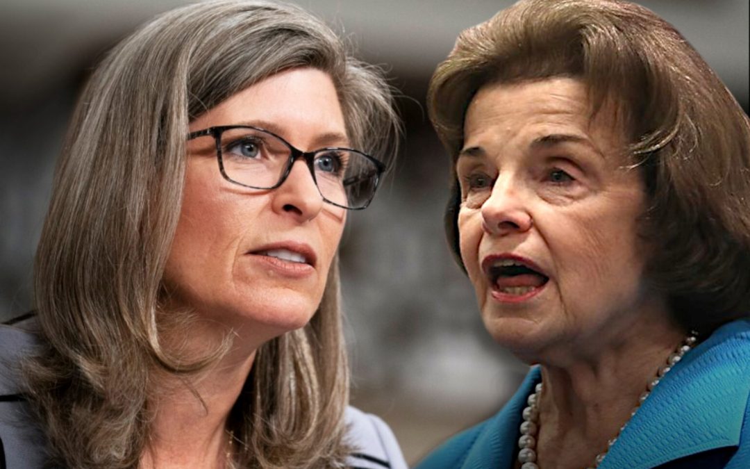 Action Alert: VAWA Senate Vote Could Happen Very Soon!