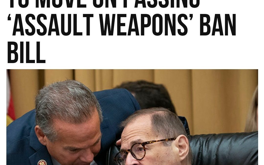 BREAKING: Hearings and House Vote Coming in Congress on AR-15 BAN!