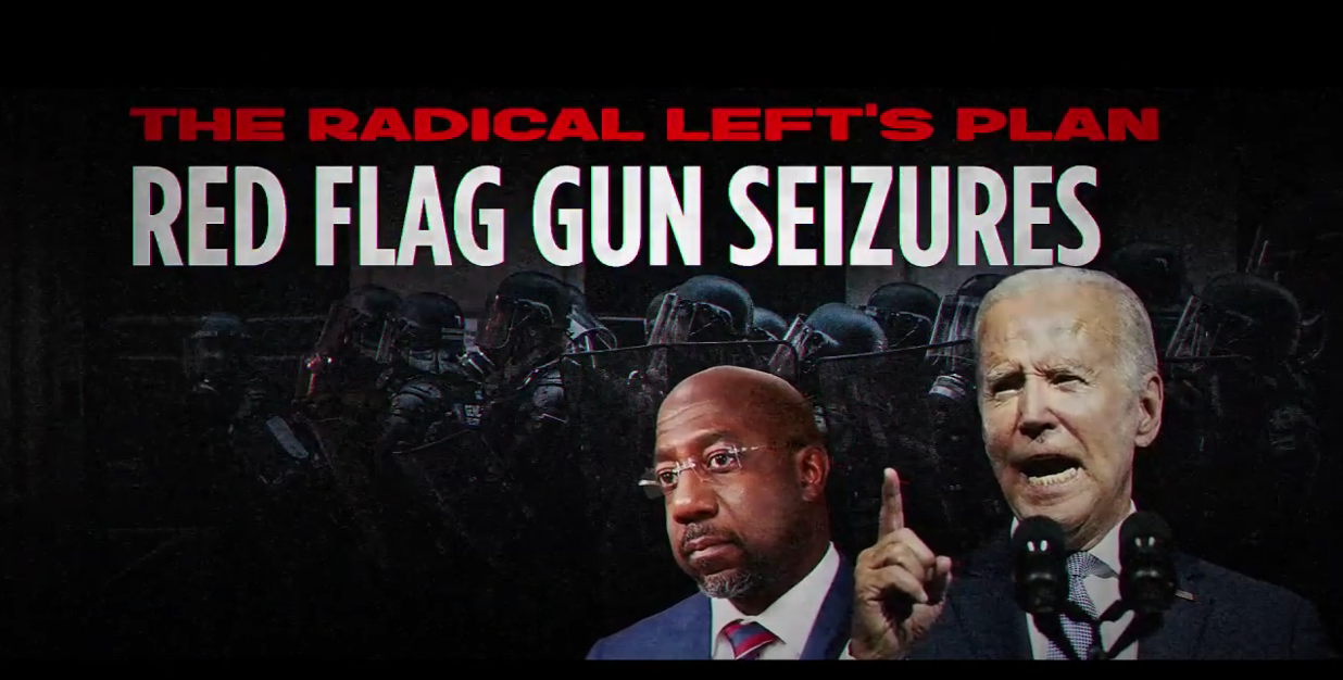 "An Enemy of the State!" Gun Owners