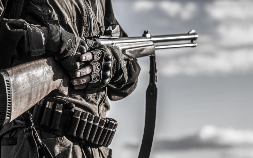 Georgia Update: Killing SAPA, Filing Gun Control!