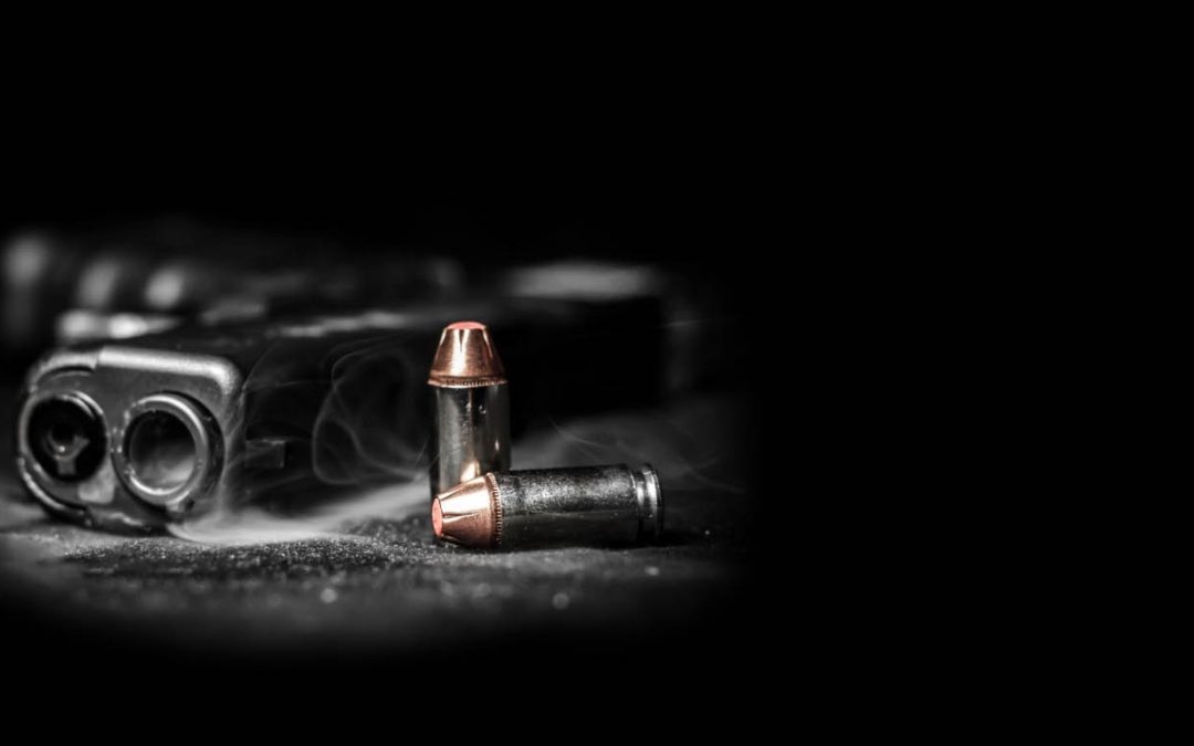 Rep. Jordan Ridley Lied to Gun Owners in Cherokee County!