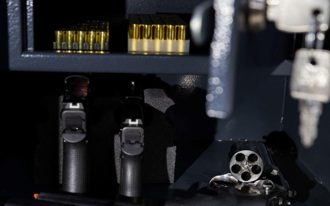 Help Stop Deadly ‘Safe Storage’ Laws!