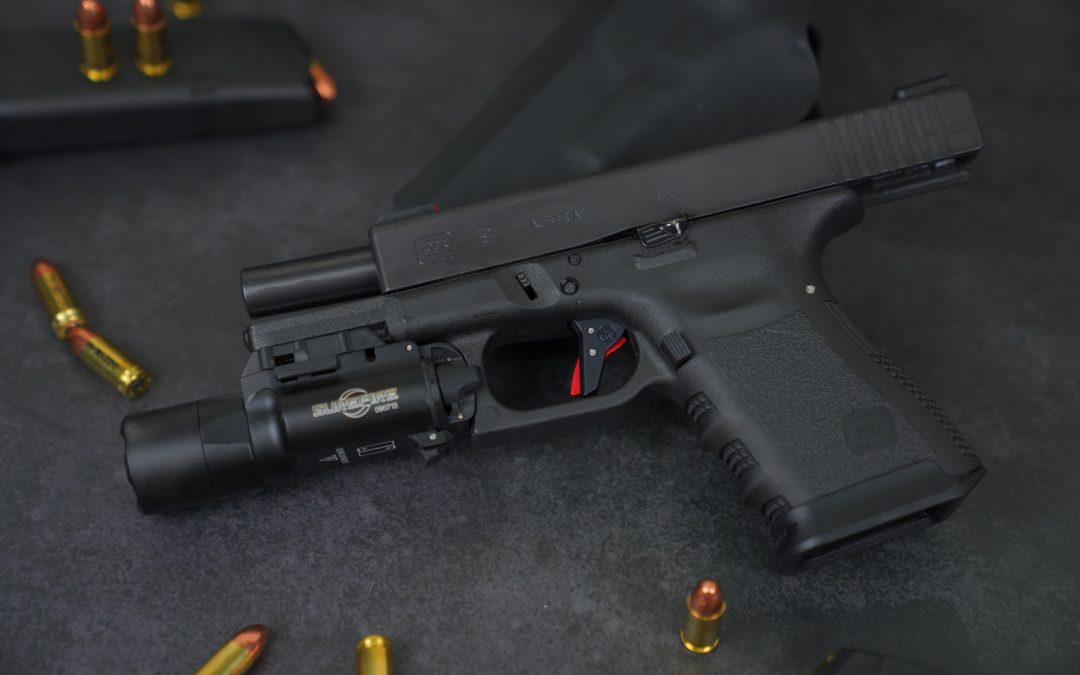 Stop Frank Ginn’s Gun Control Amendment!